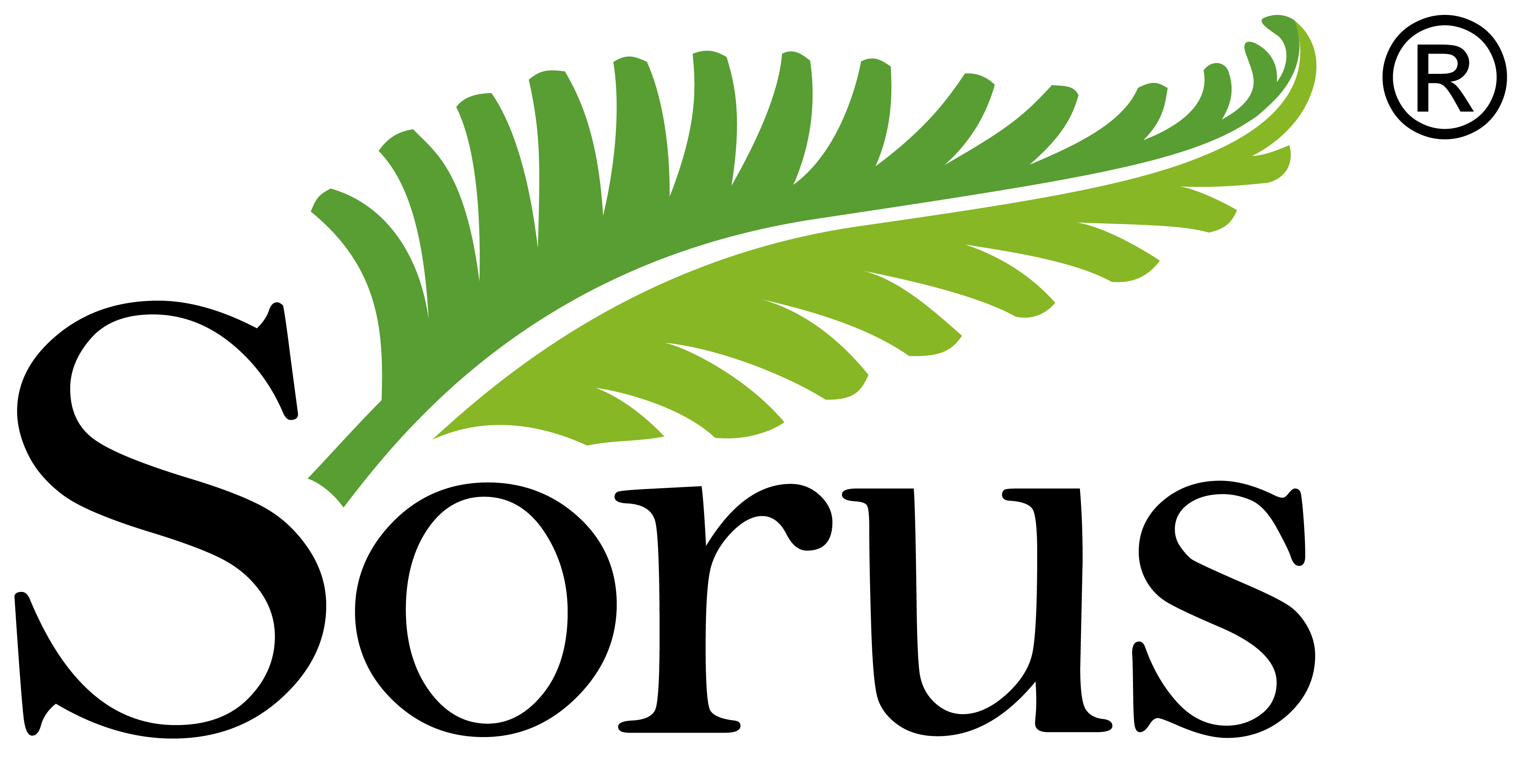 Logotyp Wydawnictwa Sorus
