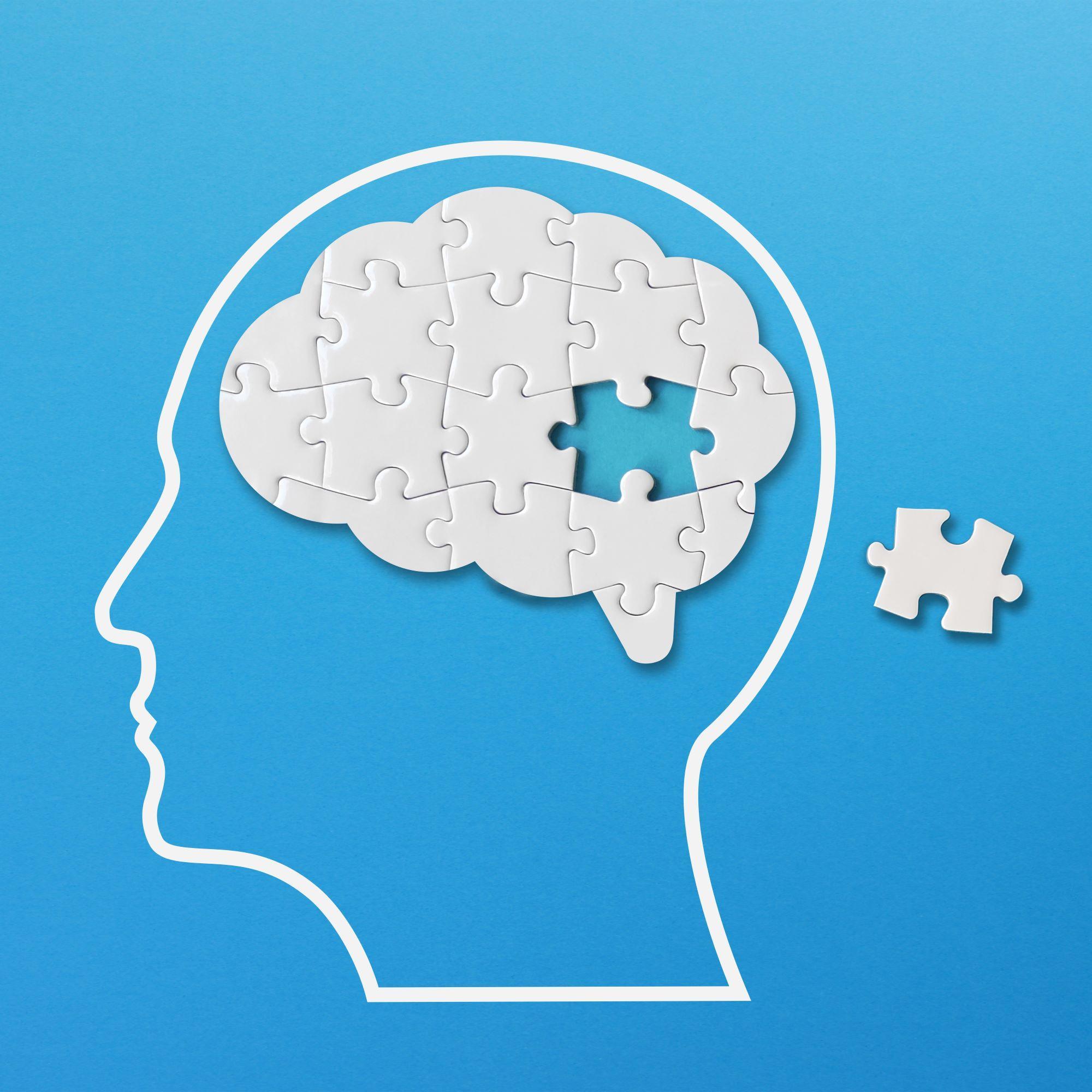The Brain Map Research Club